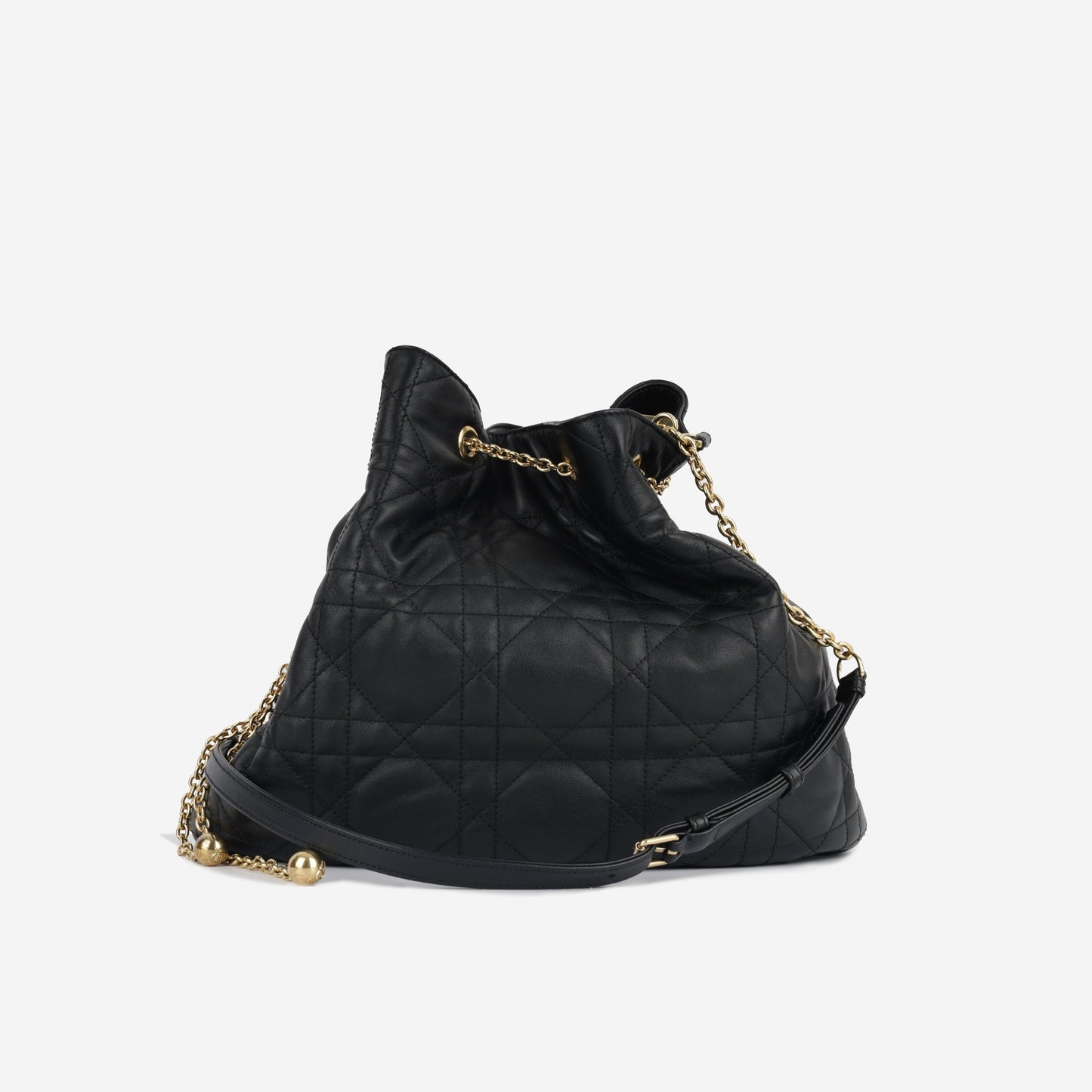 Luxury Dior Large Ammi Bag