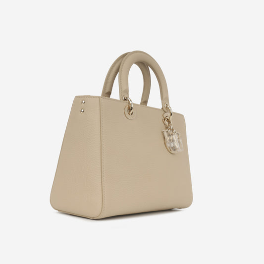 Luxury Dior Medium Lady D-Sire