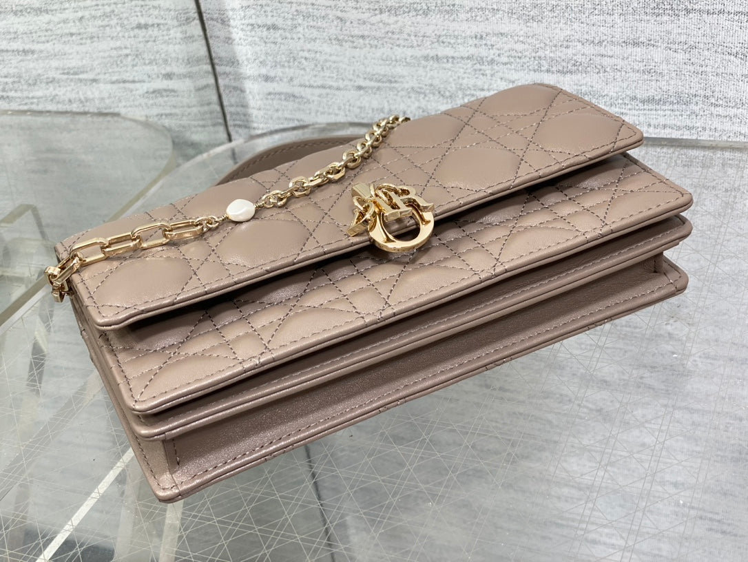 Luxury Diormy mini 21 dark brown lambskin