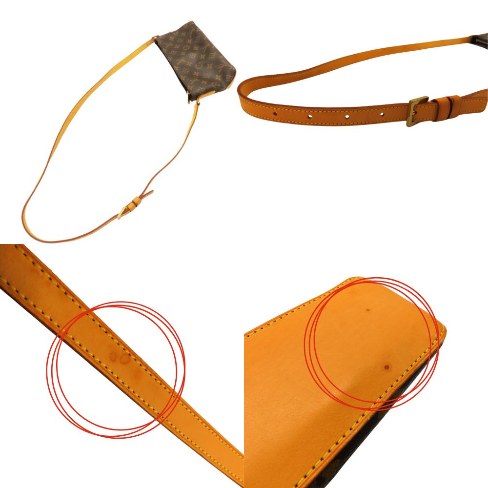 Louis Vuitton Monogram Trotter Crossbody Bag M51240