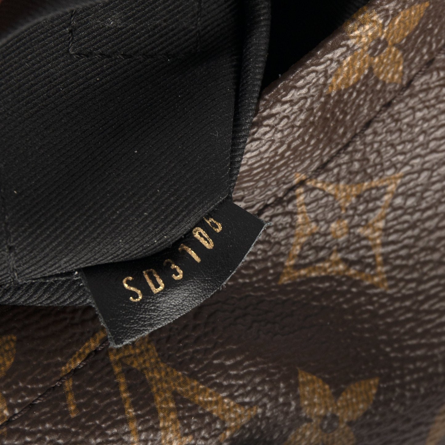 Louis Vuitton Monogram Palm Springs Mini Backpack