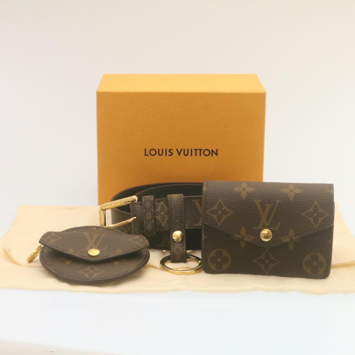 LOUIS VUITTON Monogram Ceinture Daily Multi Pocket Waist Bag M0236Y ai676A