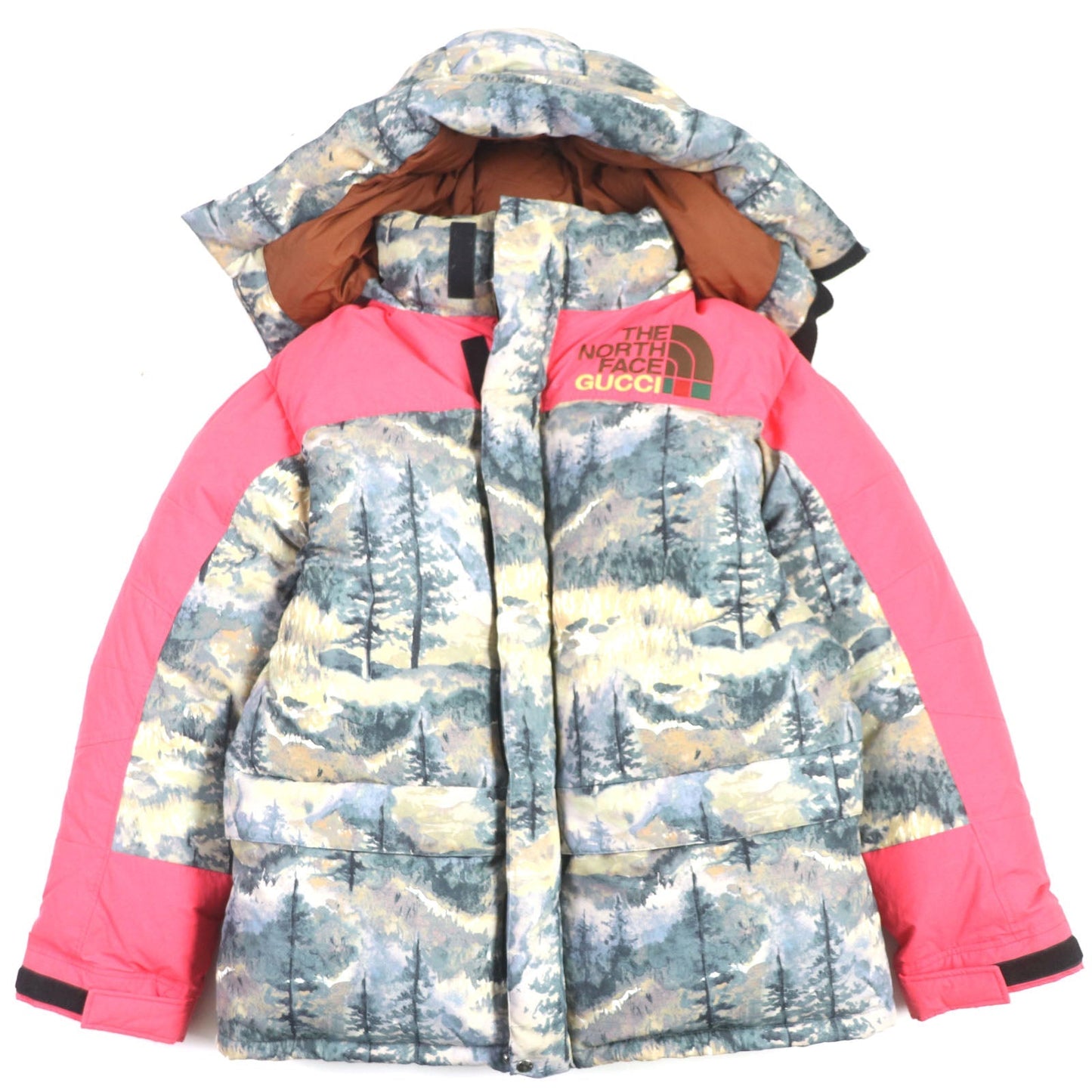 Luxury Gucci Trending 2025 The North Face Nylon Hooded Down Jacket