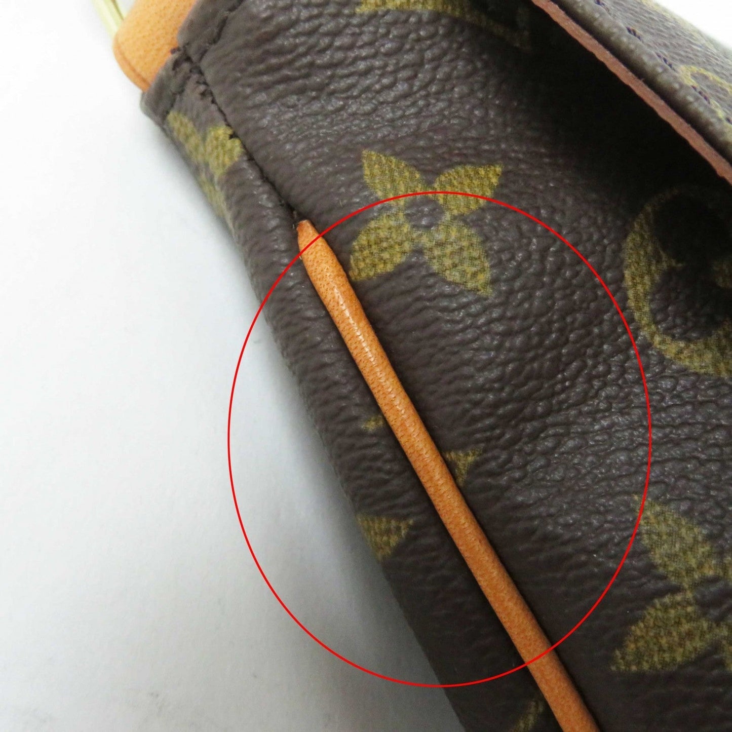 Louis Vuitton Monogram Musette Salsa Shoulder Bag