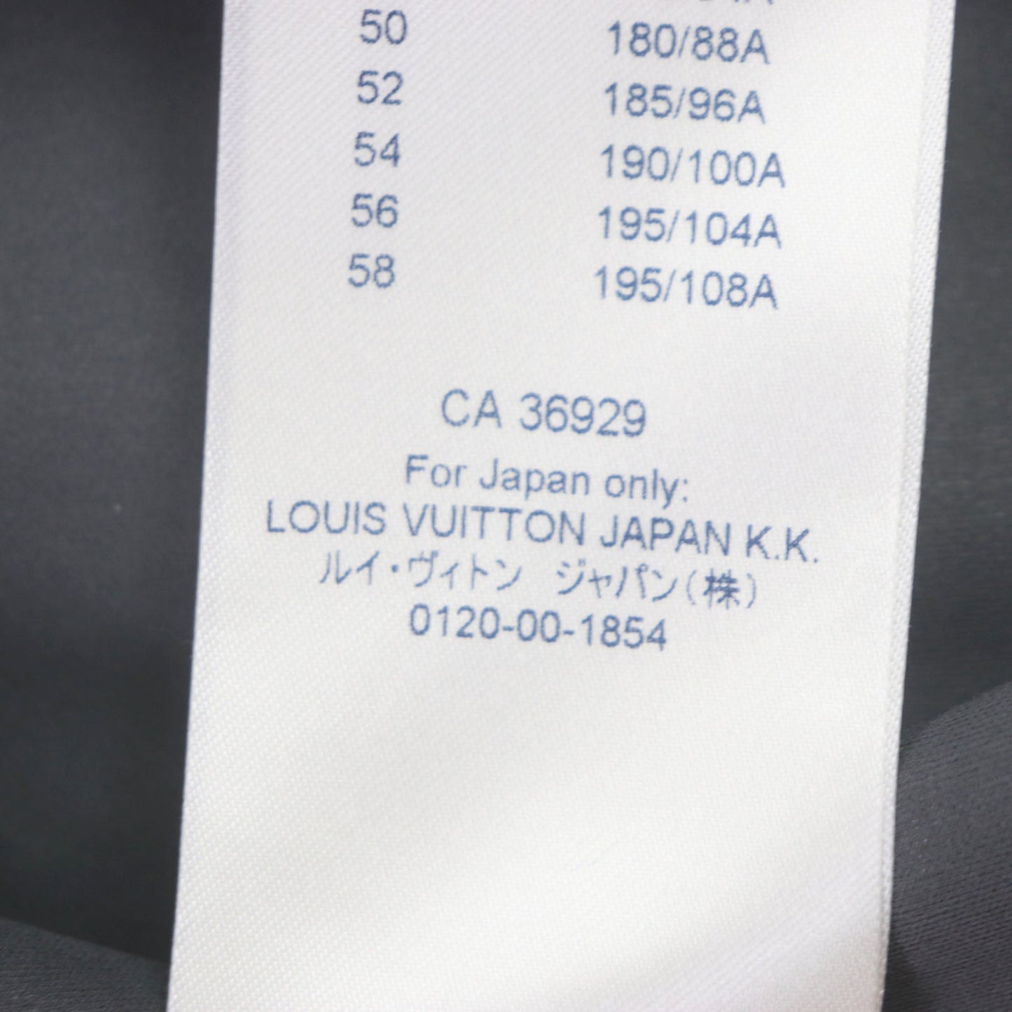 Louis Vuitton 2WAY Windbreaker Jacket Gray