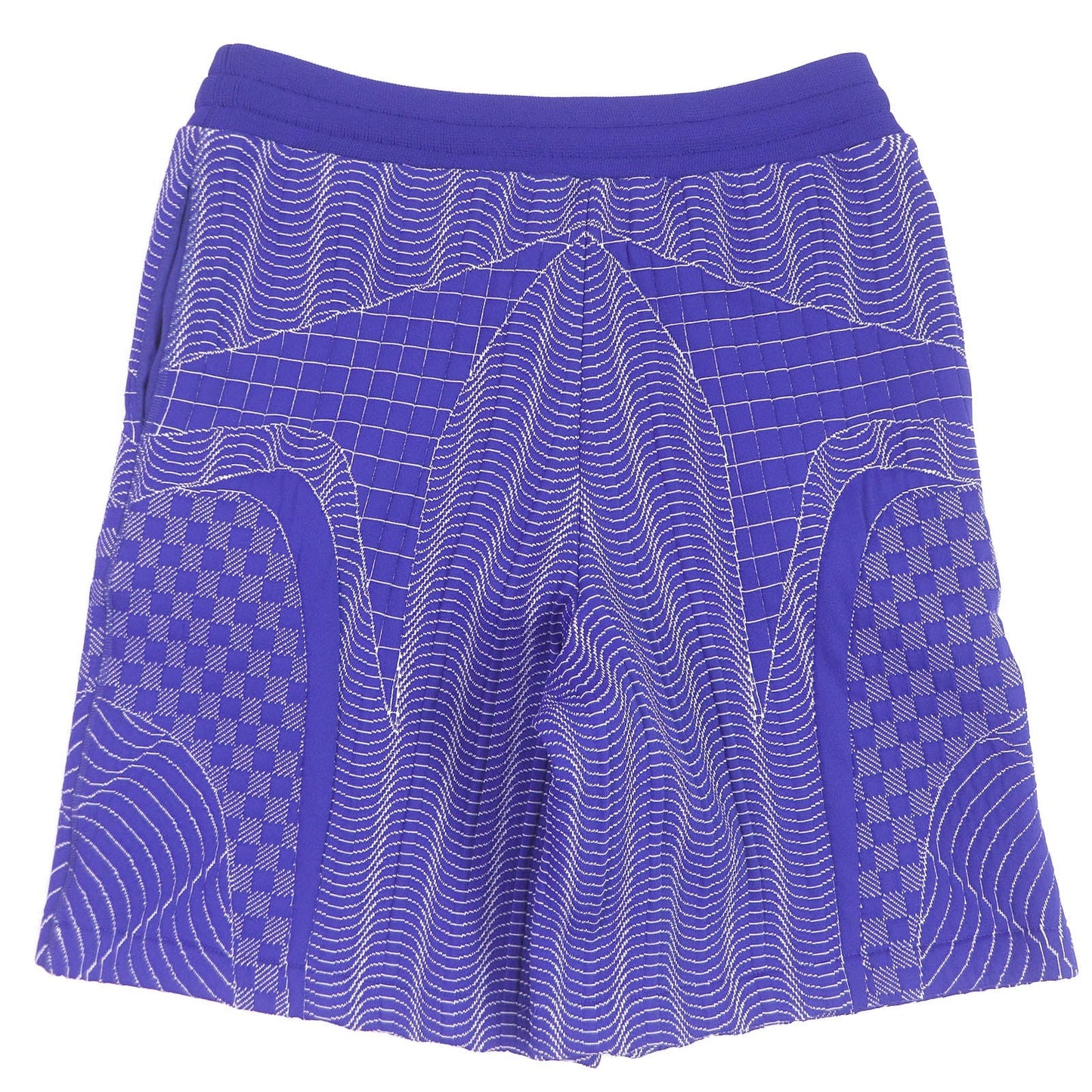 Louis Vuitton Damier Print Shorts Blue M