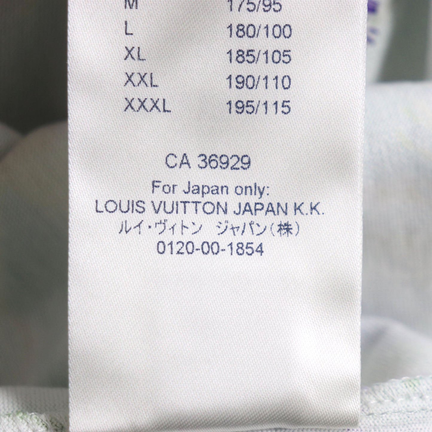 Louis Vuitton Floral Embroidered Crew Neck T-Shirt