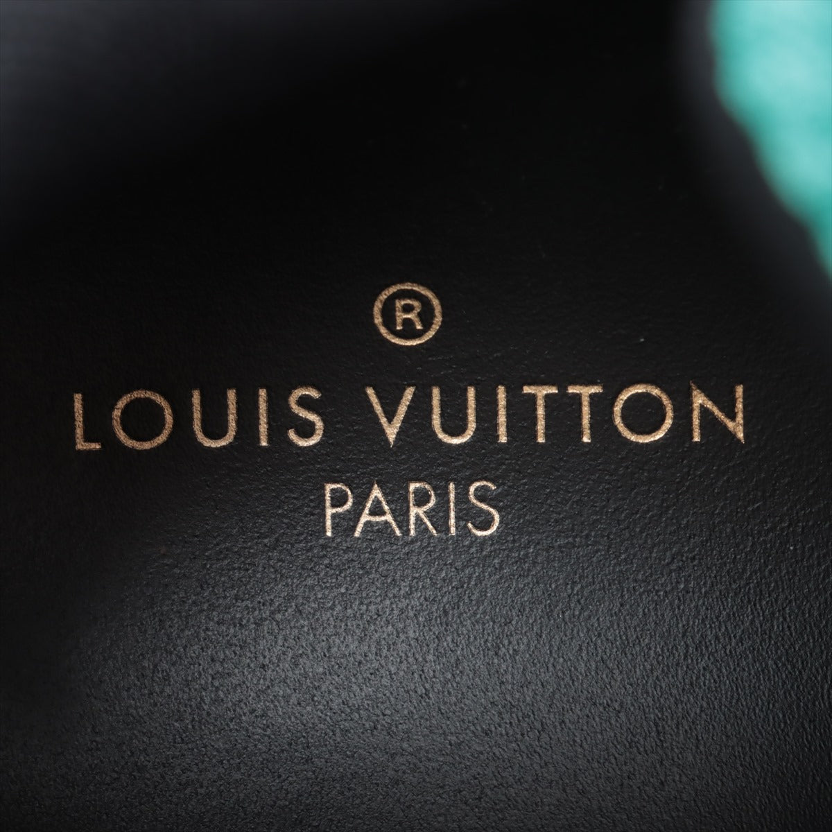 Louis Vuitton Zygzagline 19 Year Leather X Fabric 7  Multicolor GO0139 Monogram
