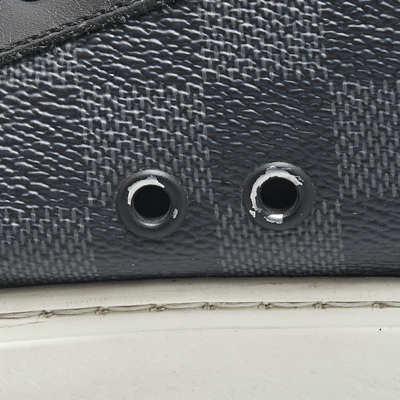 Louis Vuitton Damier Graphite Low Sneakers
