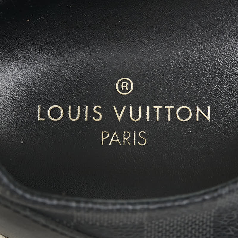 Louis Vuitton Damier Graphite Low Sneakers