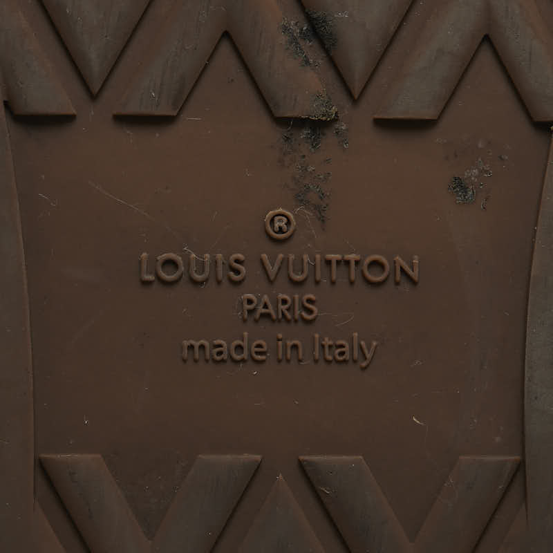 Louis Vuitton Damier Graphite Low Sneakers