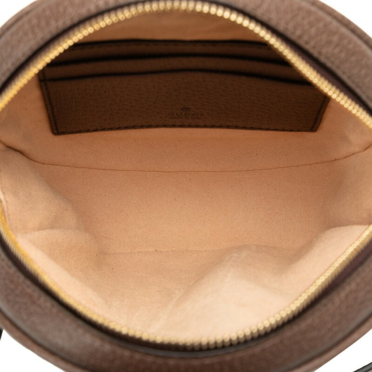 Luxury Gucci Trending 2025 Ophidia