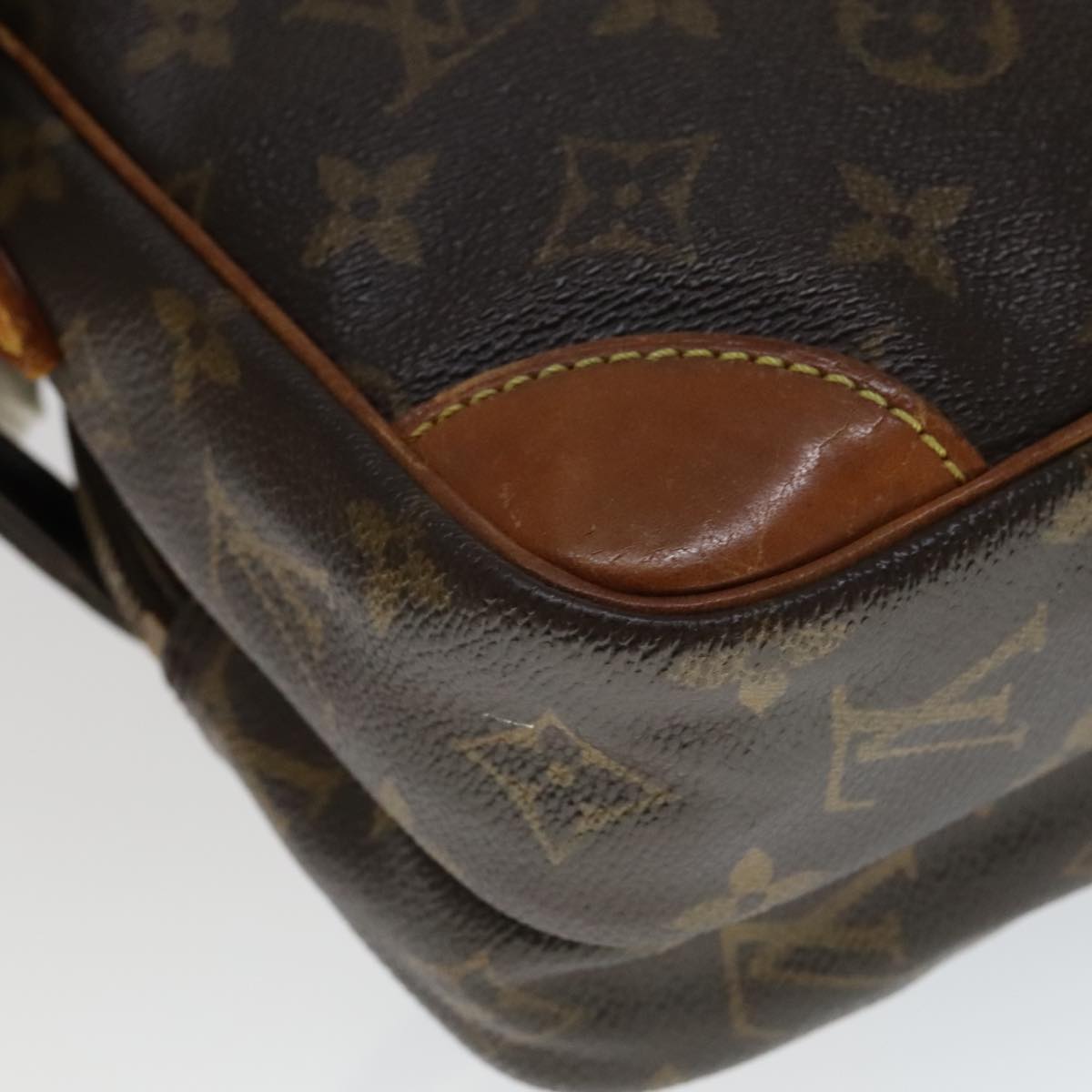 LOUIS VUITTON Monogram Amazon Shoulder Bag M45236 LV 109498