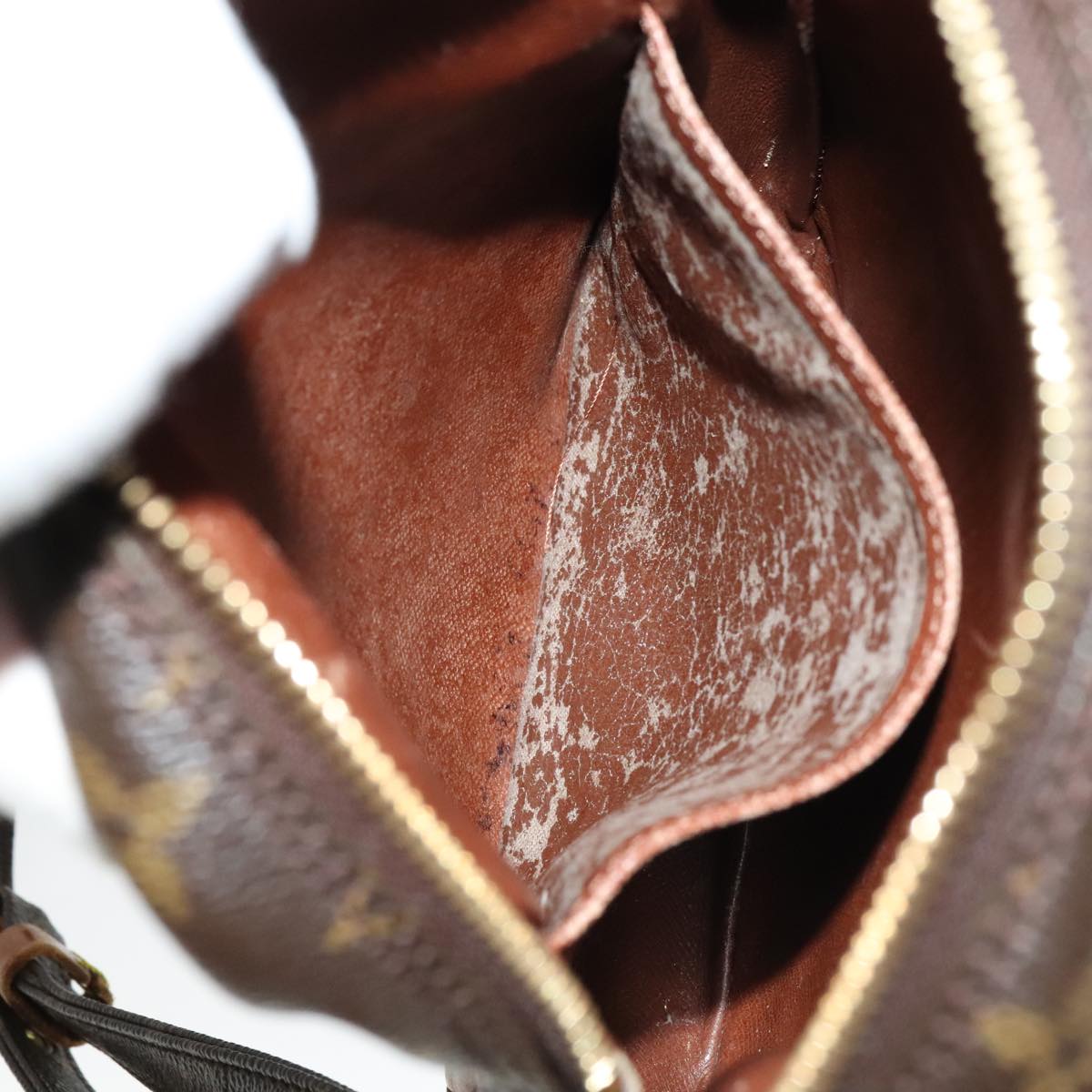 LOUIS VUITTON Monogram Amazon Shoulder Bag M45236 LV 109498