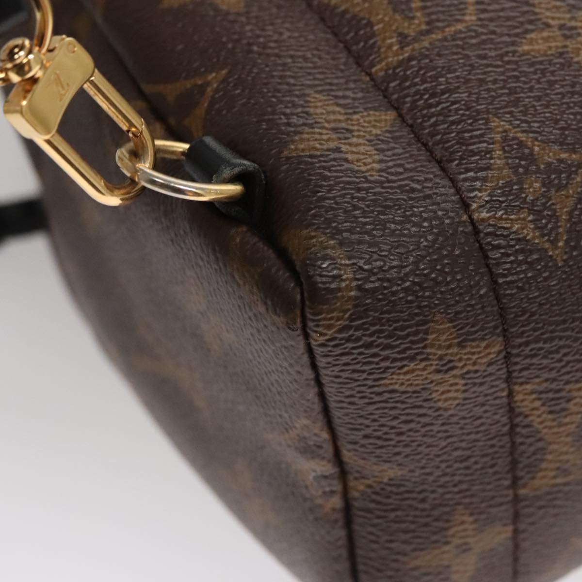 LOUIS VUITTON Monogram Palm Springs MINI Backpack M44873 LV 109918