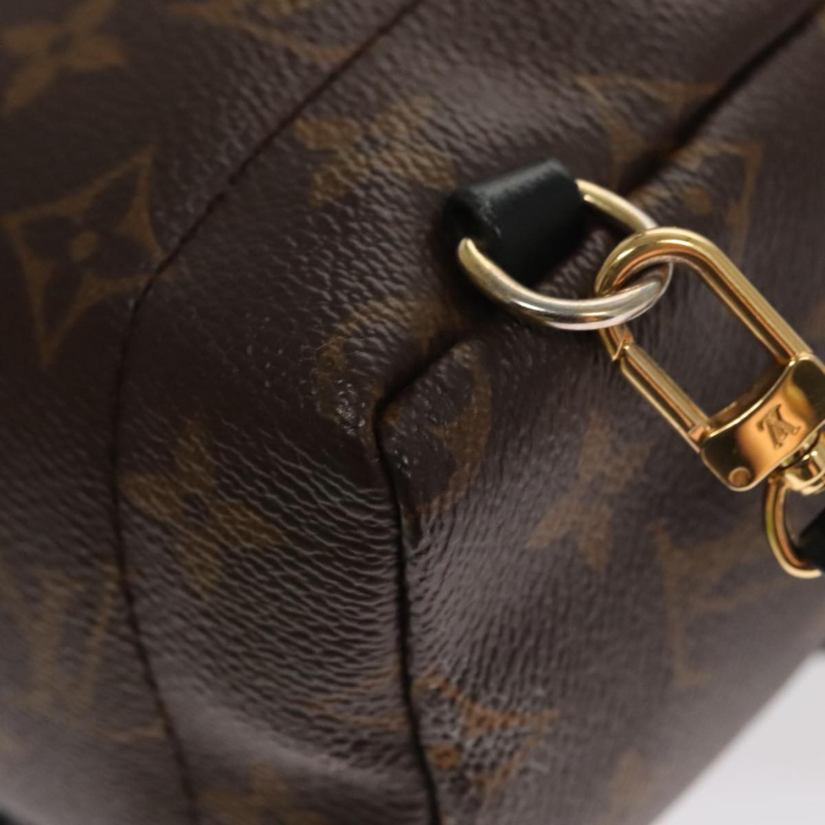 LOUIS VUITTON Monogram Palm Springs MINI Backpack M44873 LV 109918