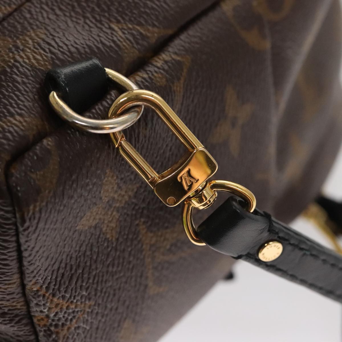 LOUIS VUITTON Monogram Palm Springs MINI Backpack M44873 LV 109918