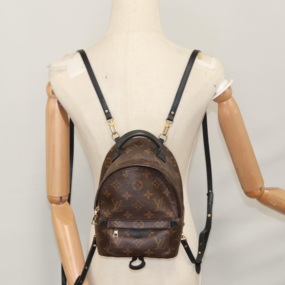 LOUIS VUITTON Monogram Palm Springs MINI Backpack M44873 LV 109918
