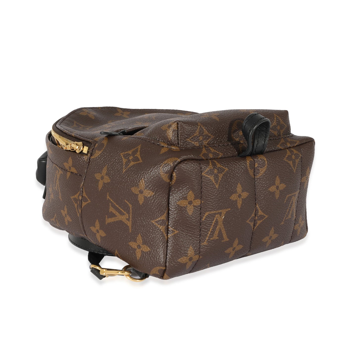Louis Vuitton Louis Vuitton Monogram Canvas Palm Springs Mini Backpack