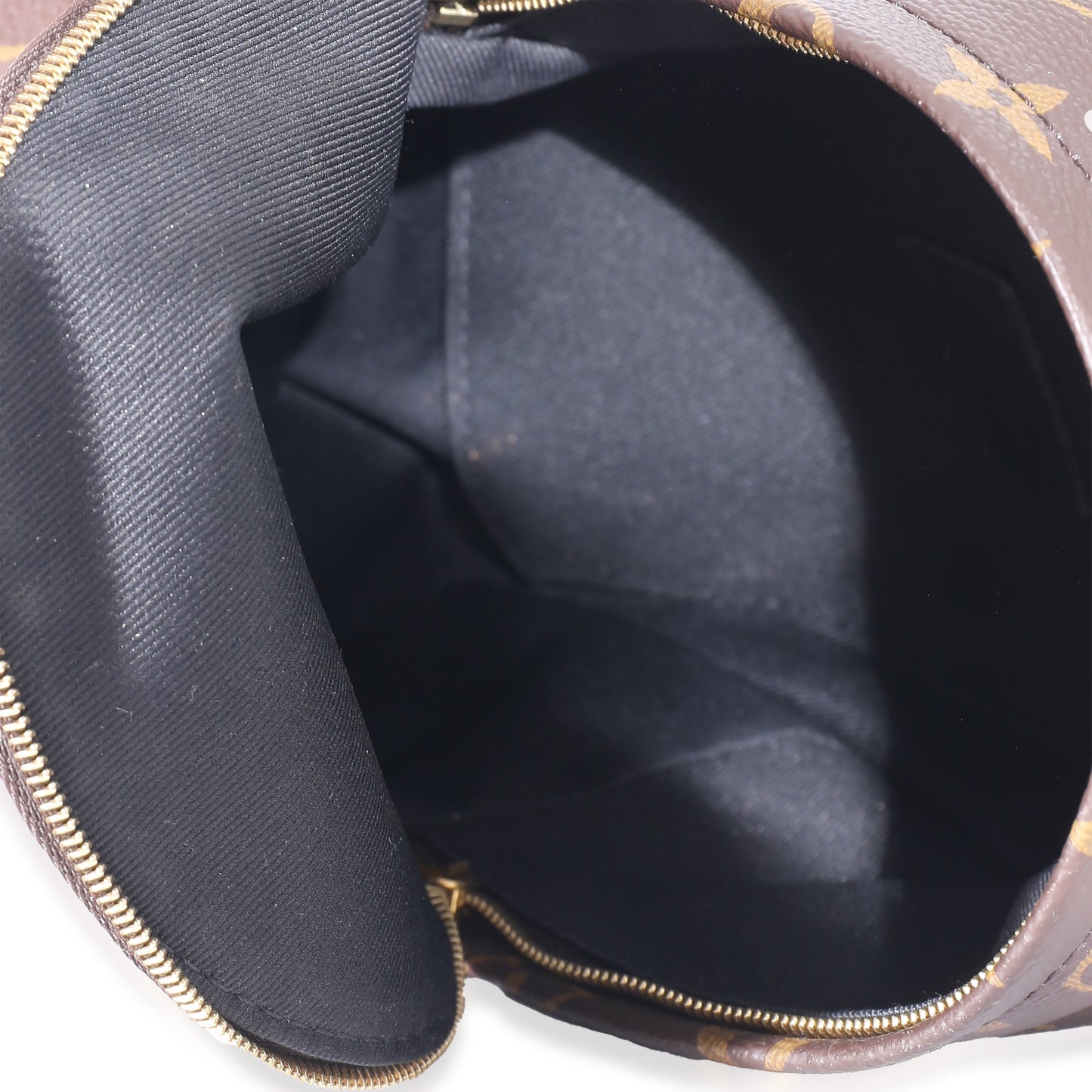 Louis Vuitton Louis Vuitton Monogram Mini Palm Spring Backpack