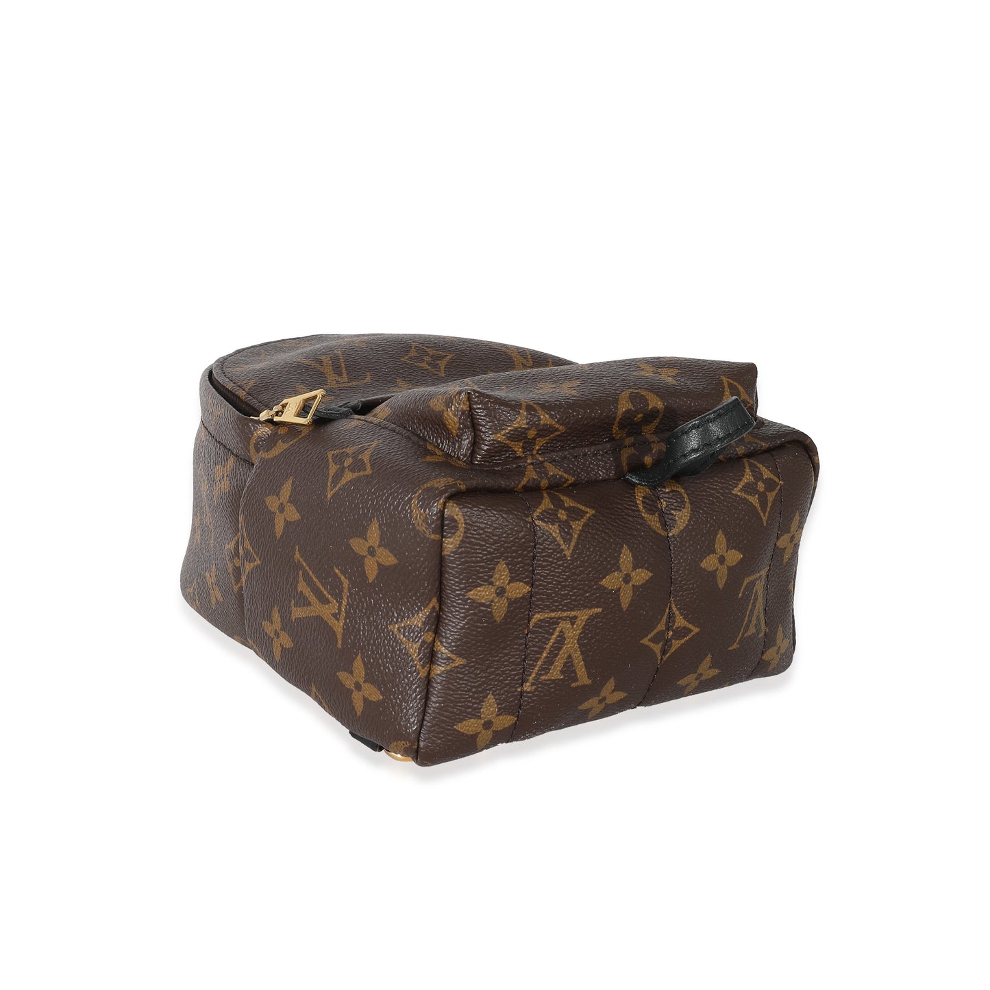 Louis Vuitton Louis Vuitton Monogram Canvas Mini Palm Springs