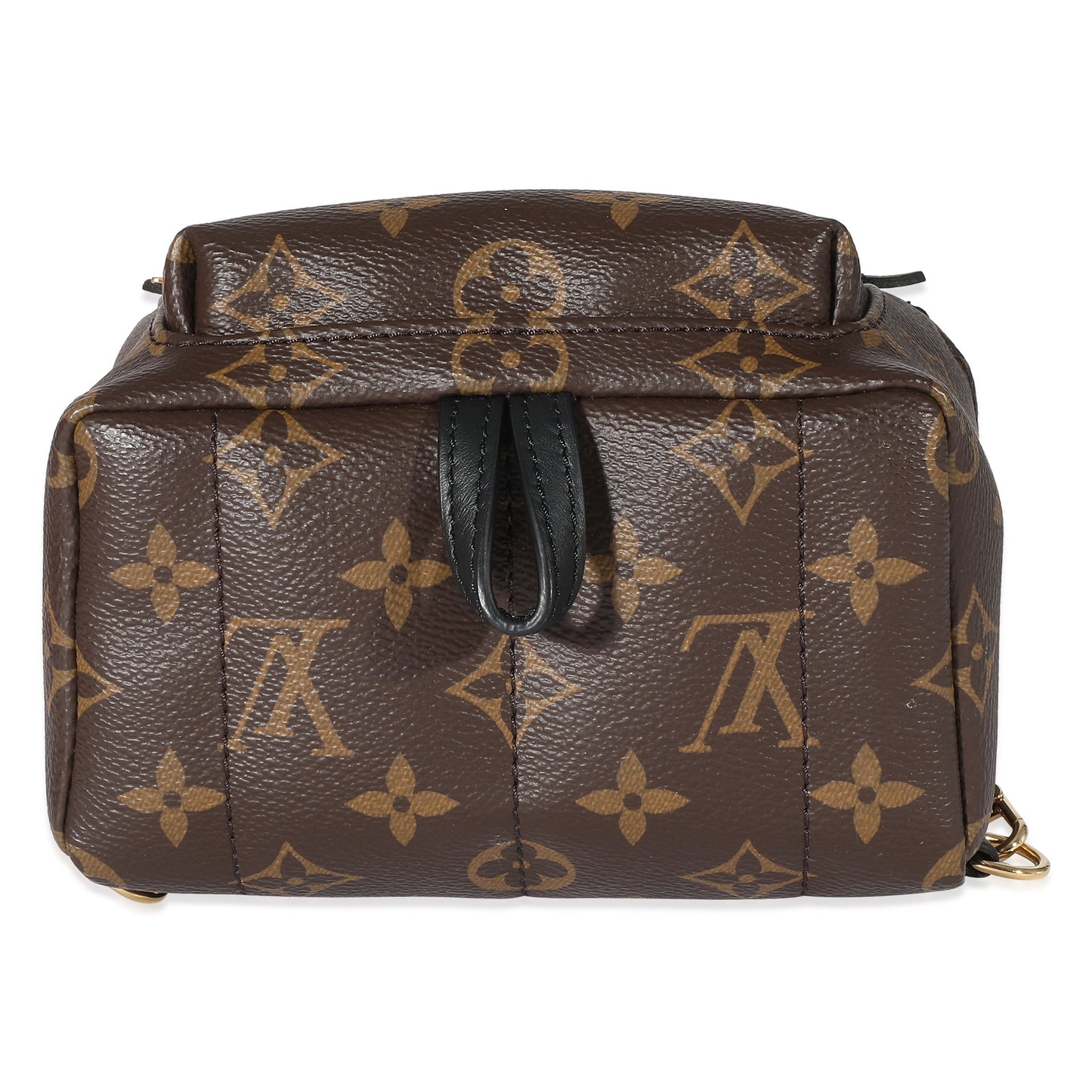 Louis Vuitton Louis Vuitton Monogram Canvas Mini Palm Springs