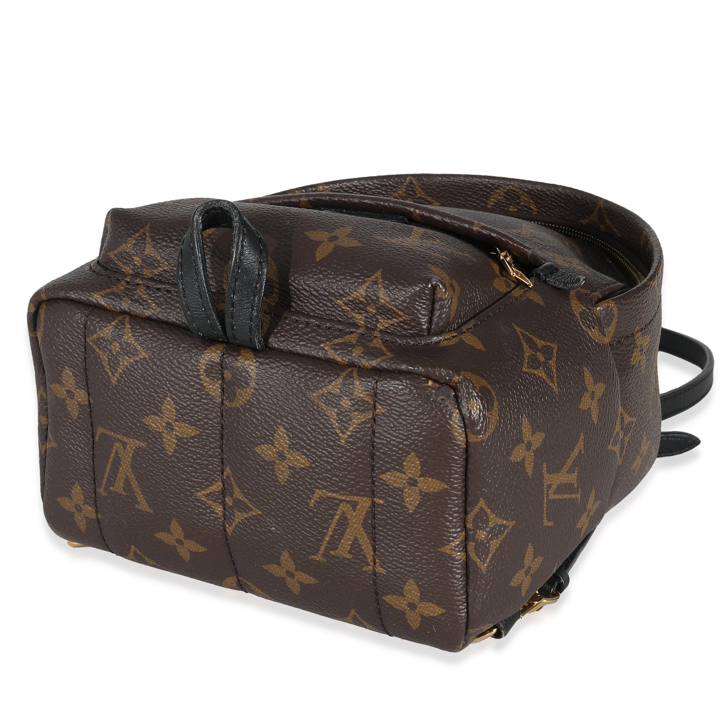 Louis Vuitton Louis Vuitton Monogram Canvas Mini Palm Springs