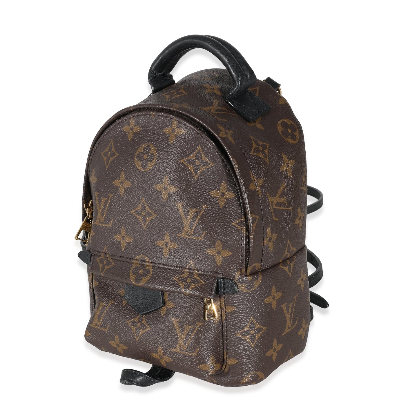 Louis Vuitton Louis Vuitton Monogram Canvas Mini Palm Springs