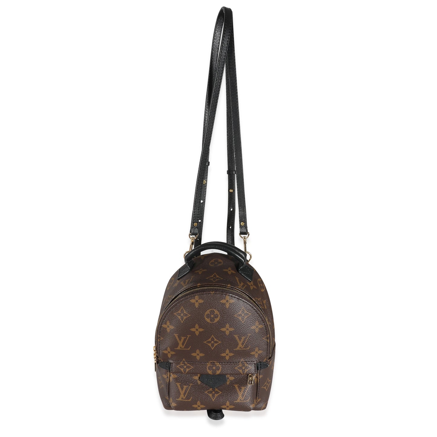 Louis Vuitton Louis Vuitton Monogram Canvas Mini Palm Springs