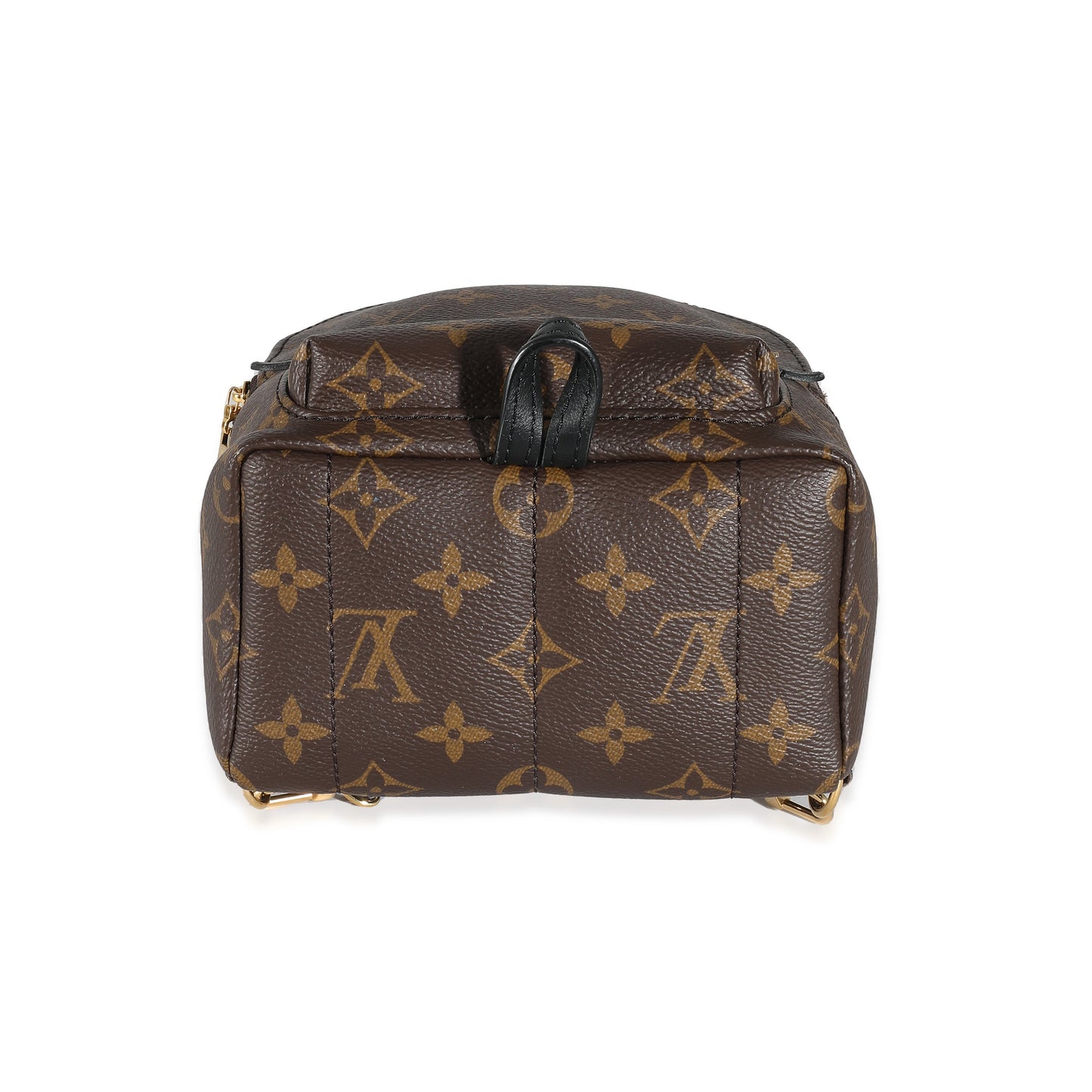Louis Vuitton Louis Vuitton Monogram Canvas Mini Palm Springs