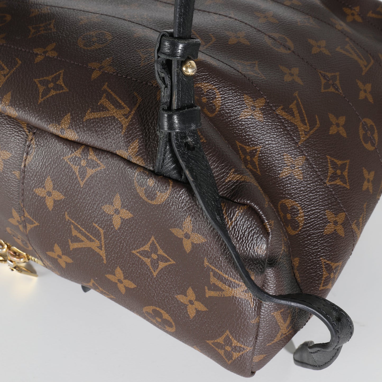 Louis Vuitton Monogram Canvas Palm Springs PM