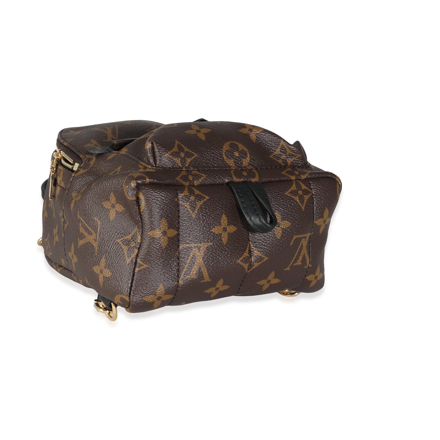 Louis Vuitton Louis Vuitton Monogram Canvas Mini Palm Springs