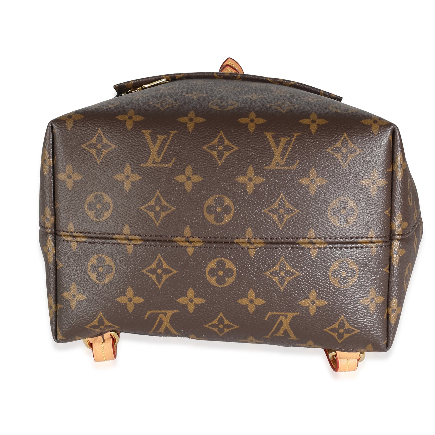 Louis Vuitton Monogram Canvas Montsouris PM NM