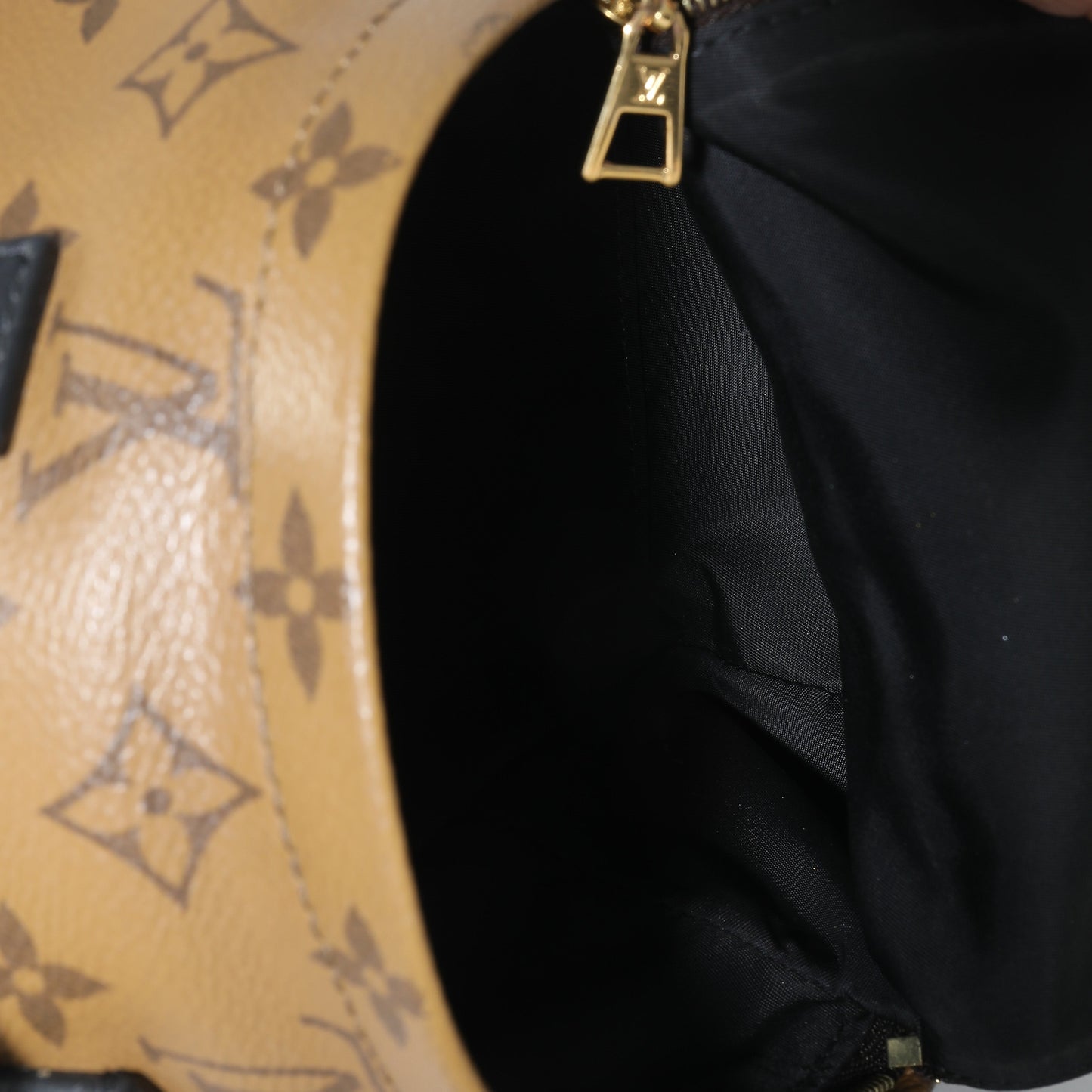 Louis Vuitton Reverse Monogram Canvas Mini Palm Springs