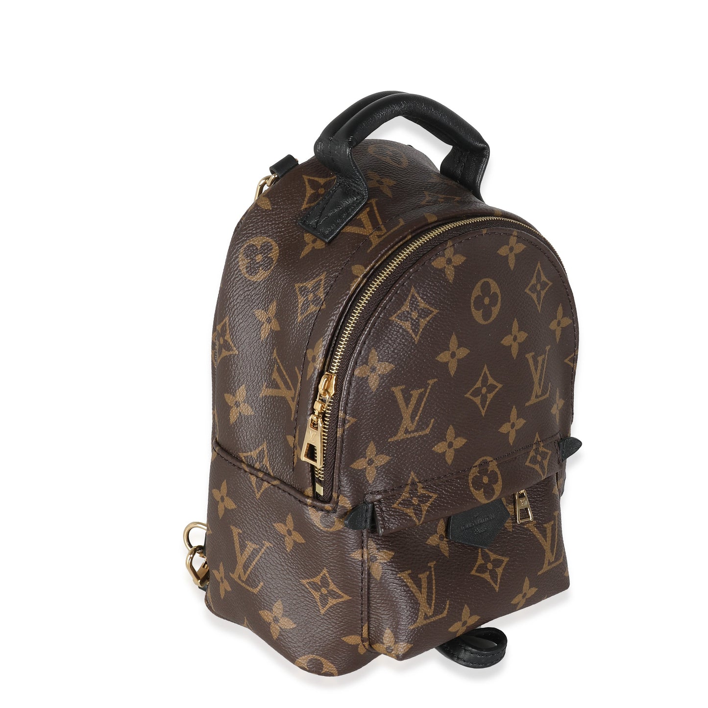 Louis Vuitton Monogram Canvas Mini Palm Springs