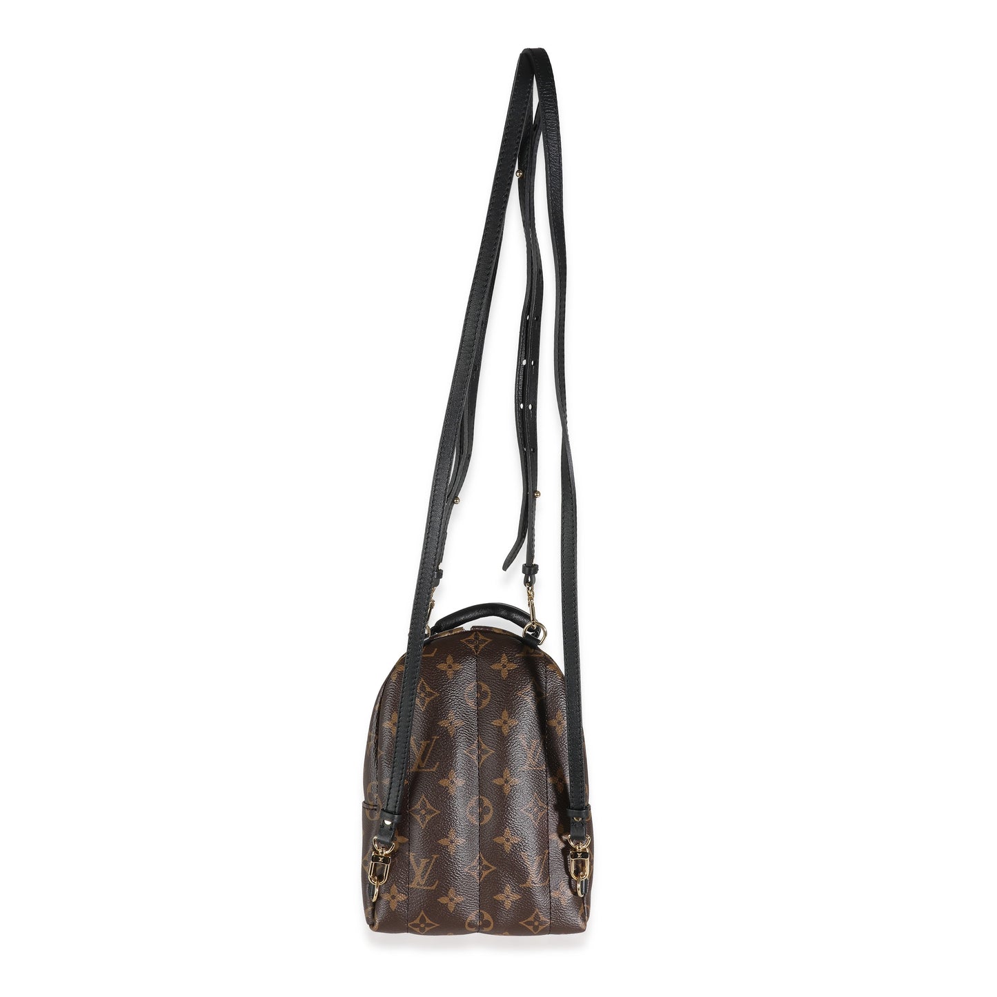 Louis Vuitton Monogram Canvas Mini Palm Springs