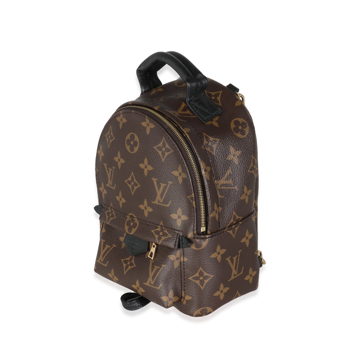 Louis Vuitton Monogram Canvas Mini Palm Springs