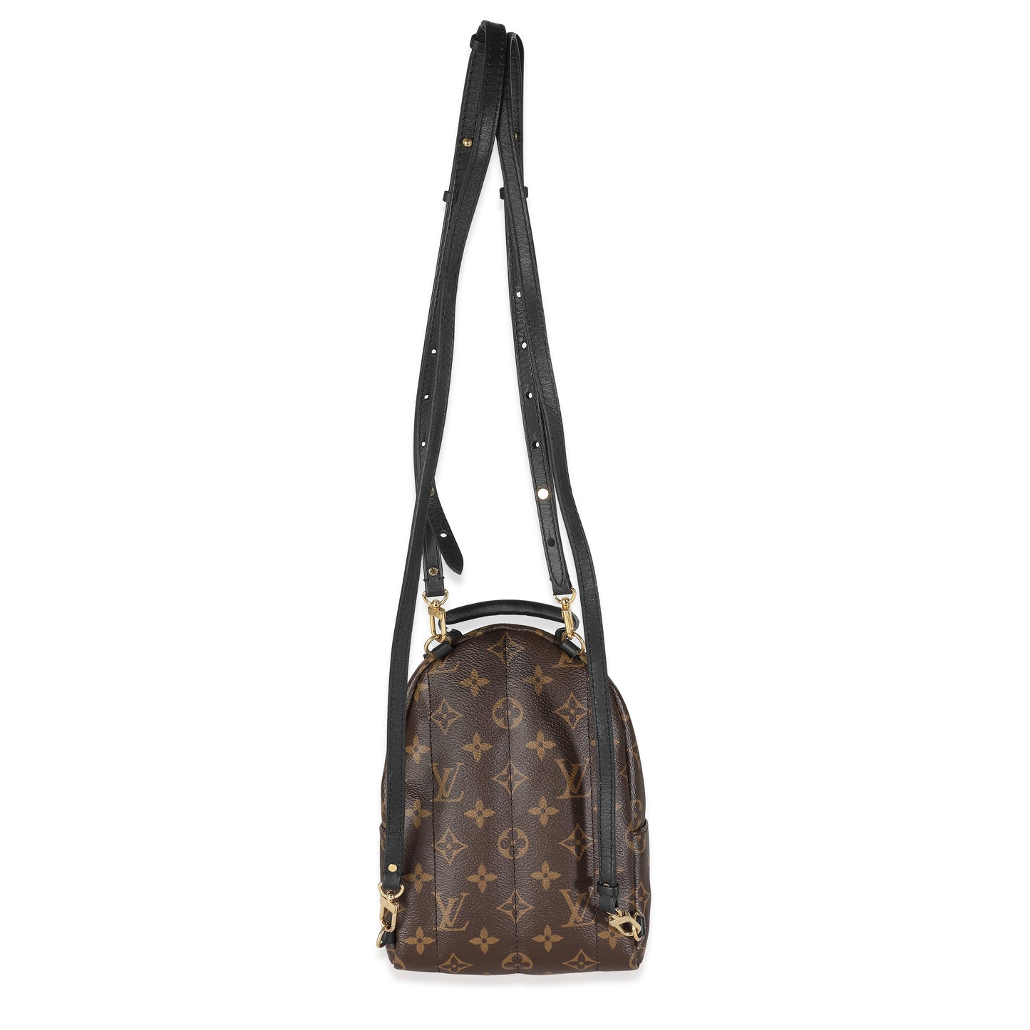 Louis Vuitton Monogram Canvas Mini Palm Springs