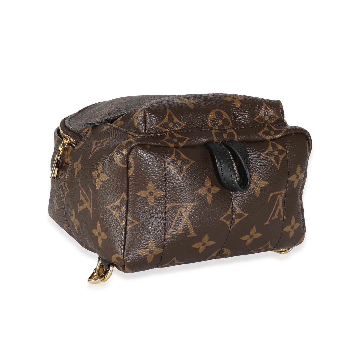 Louis Vuitton Monogram Canvas Mini Palm Springs