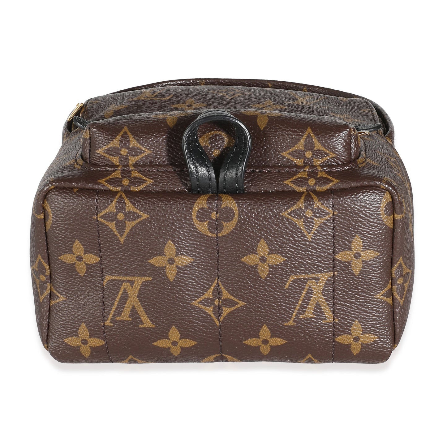 Louis Vuitton Monogram Canvas Mini Palm Springs