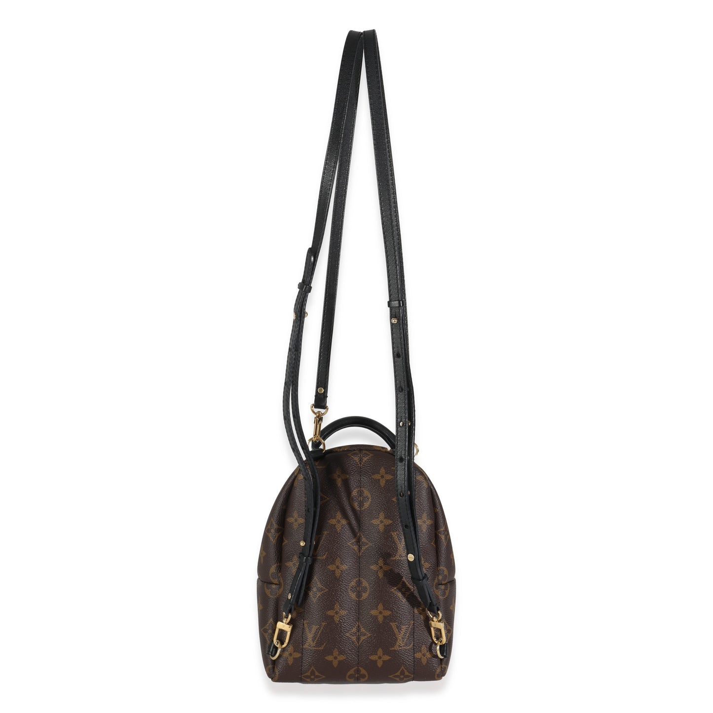 Louis Vuitton Monogram Canvas Mini Palm Springs