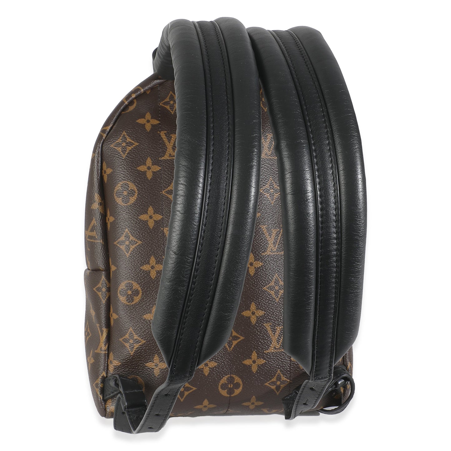 Louis Vuitton Monogram Canvas Palm Springs PM
