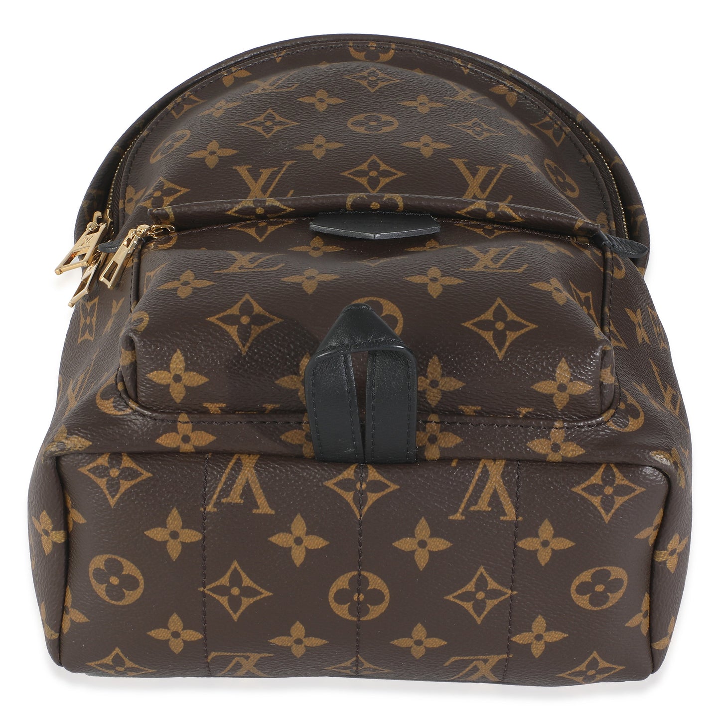 Louis Vuitton Monogram Canvas Palm Springs PM