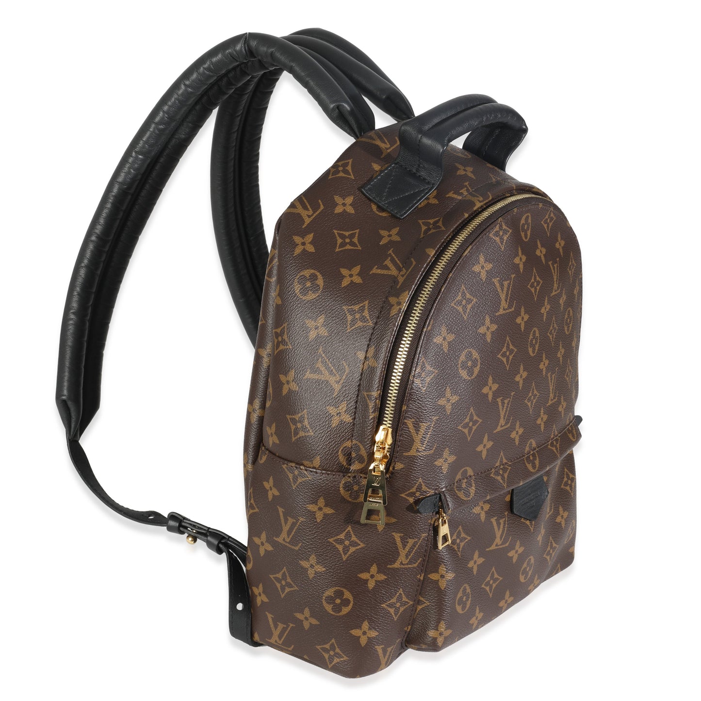 Louis Vuitton Monogram Canvas Palm Springs MM