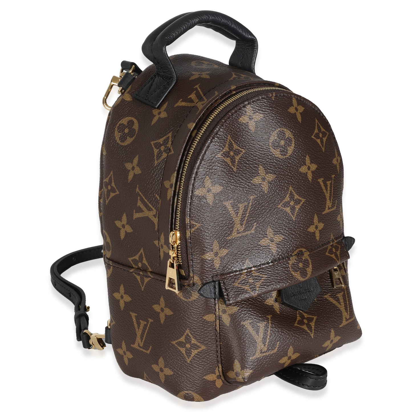 Louis Vuitton Monogram Canvas Mini Palm Springs