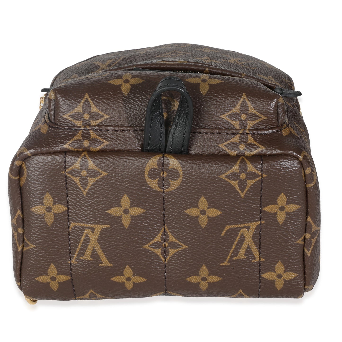 Louis Vuitton Monogram Canvas Mini Palm Springs