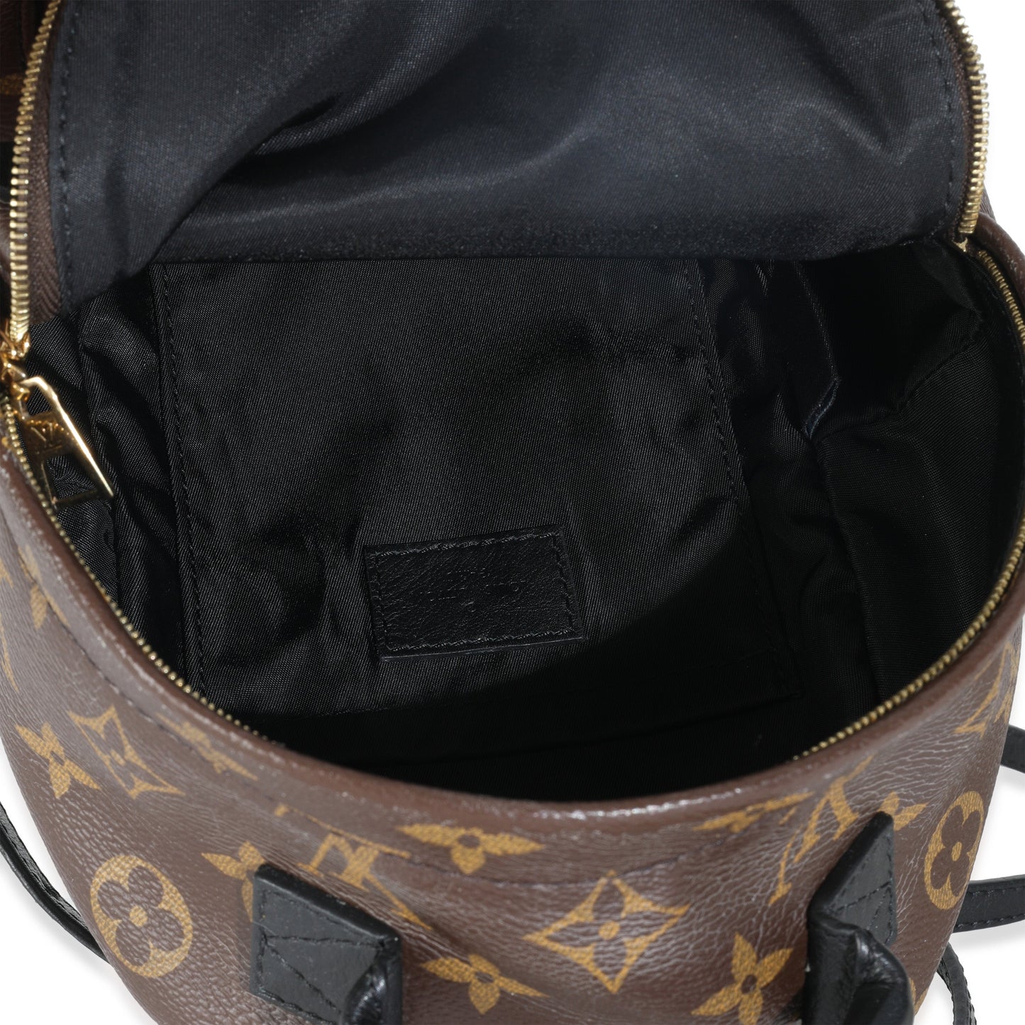 Louis Vuitton Monogram Canvas Mini Palm Springs