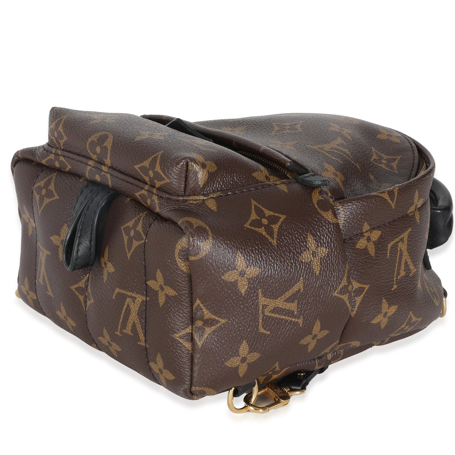 Louis Vuitton Monogram Canvas Mini Palm Springs