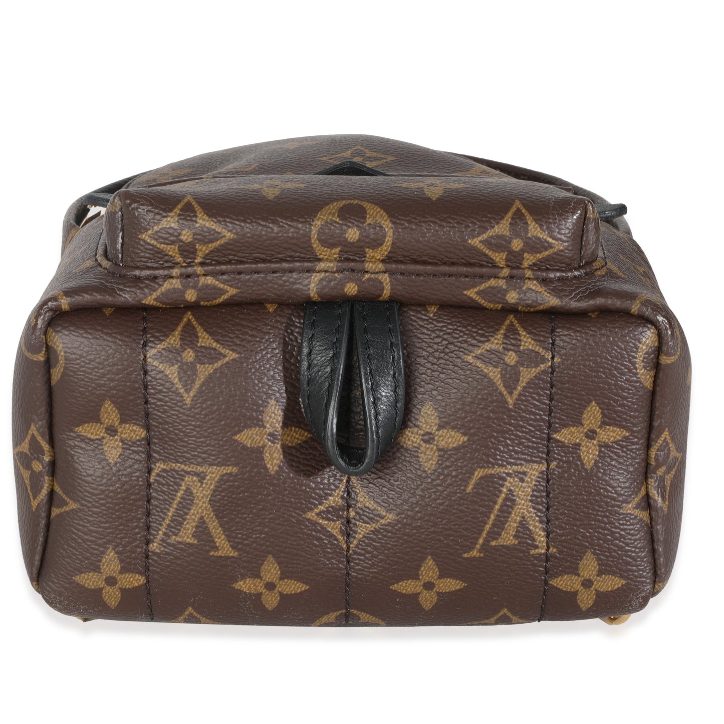 Louis Vuitton Monogram Canvas Mini Palm Springs
