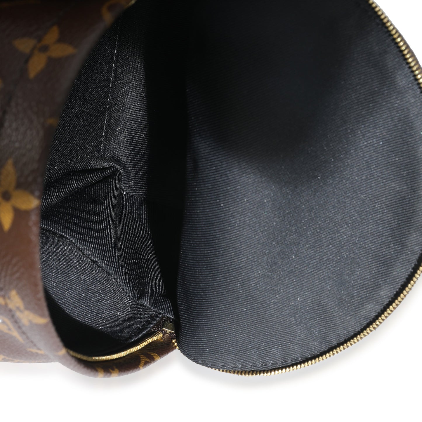 Louis Vuitton Monogram Canvas Mini Palm Springs Backpack
